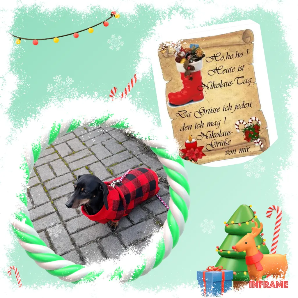 Condolence image of Iris mit Louis im ♥️ und Candy an meiner Seite