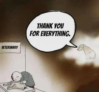 Condolence image of Ina Erberich