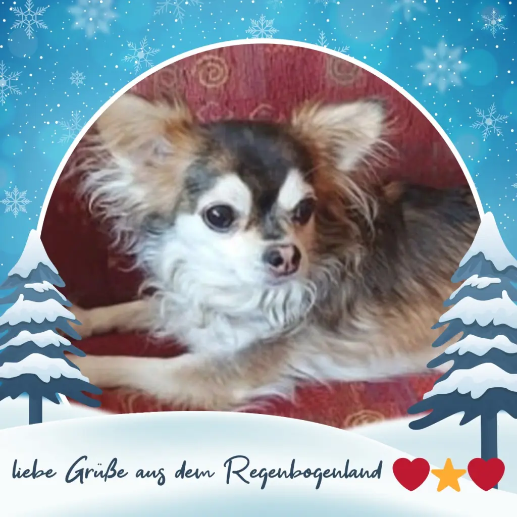 Condolence image of ❤️Grüße zum 3. Advent❤️