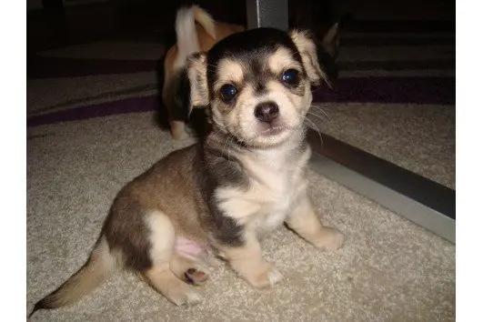 Condolence image of Ina erberich