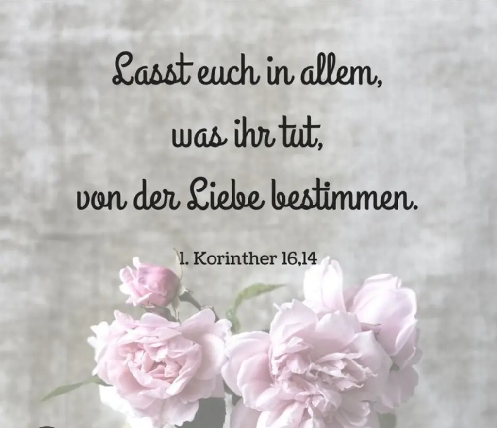 Condolence image of Post aus dem Regenbogenland ❤️