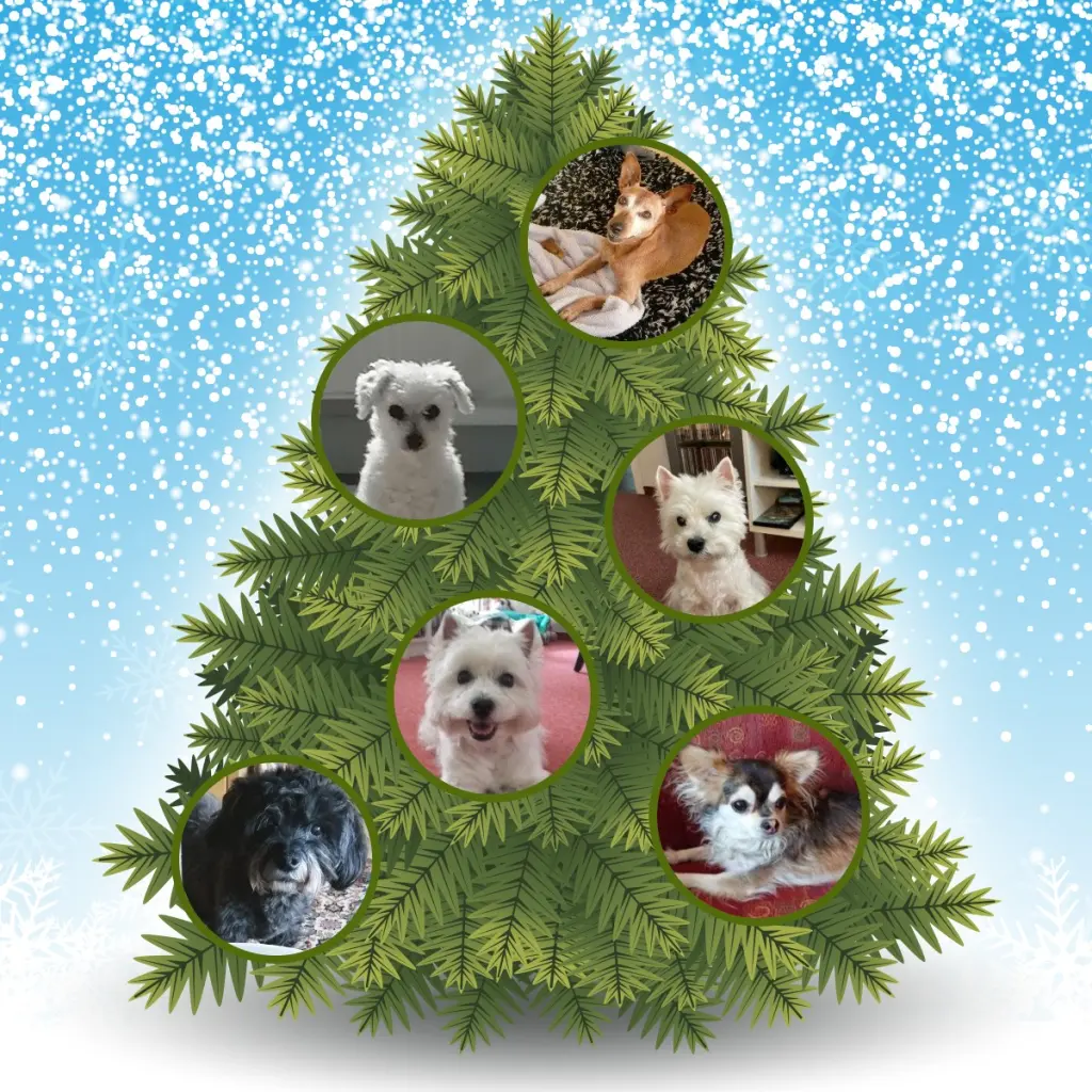 Condolence image of ❤️⭐️Grüße zu Heiligabend und Weihnachten⭐️❤️