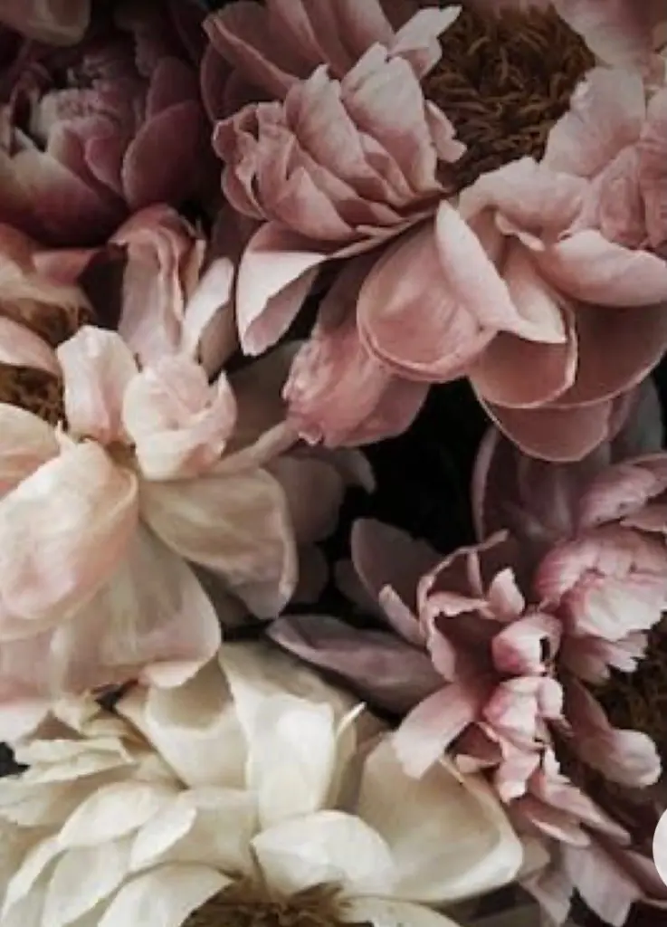 Condolence image of Für Ina und Familie 