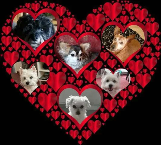 Condolence image of ❤️herzliche Grüße zum Jahreswechsel❤️