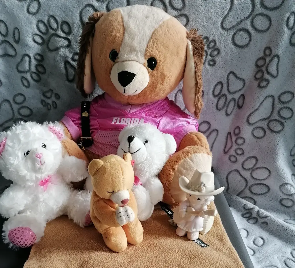 Condolence image of Für Balu ♥️