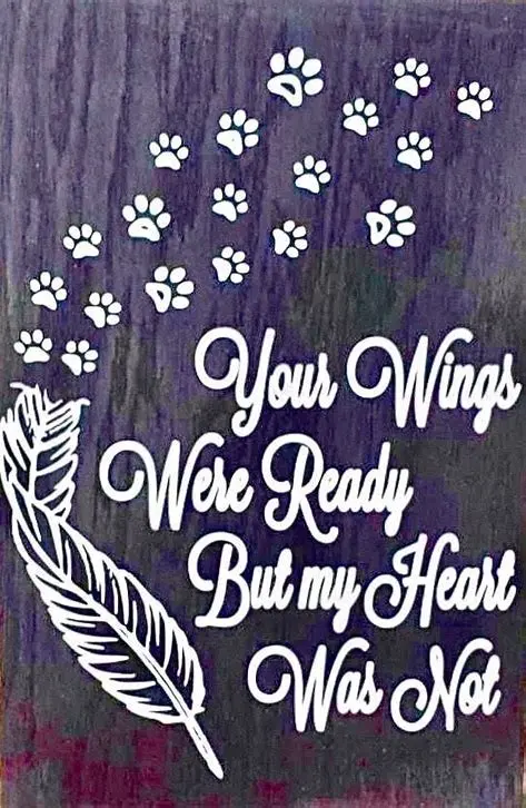 Condolence image of Abendgrüße ♥️