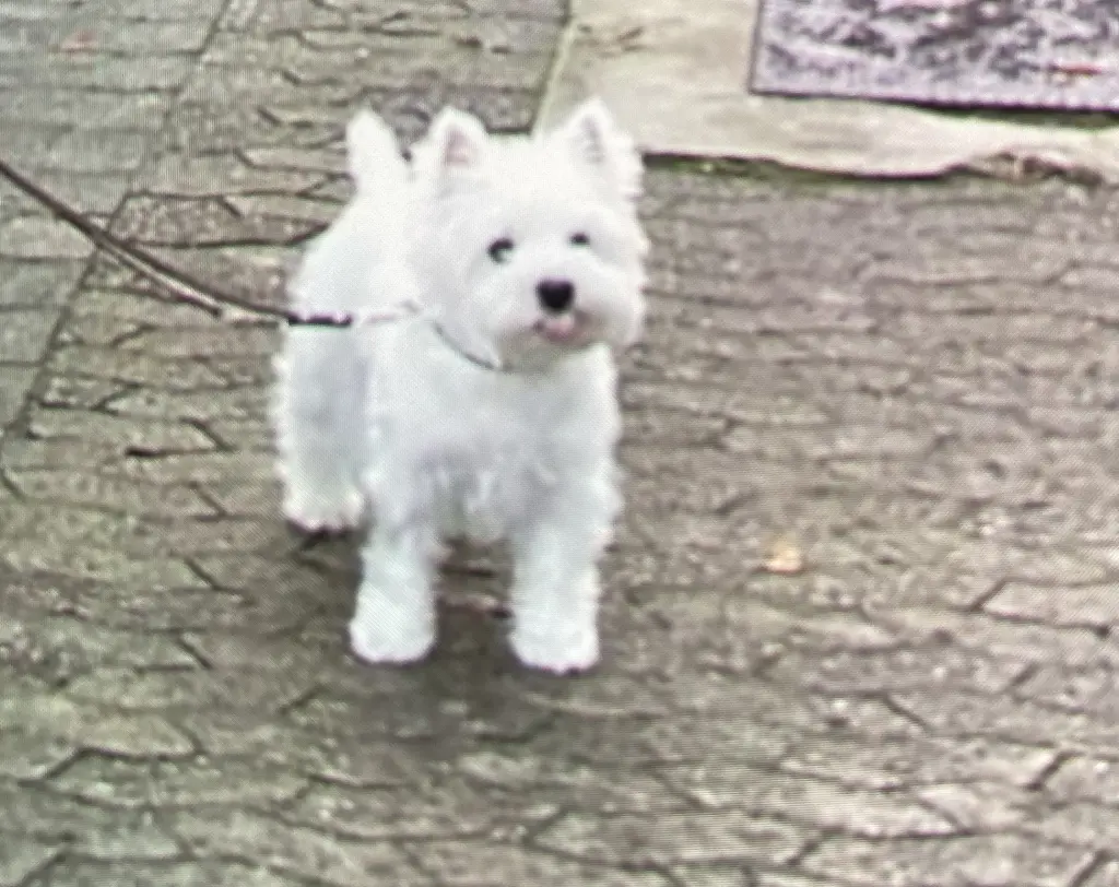 Condolence image of Unbekannt