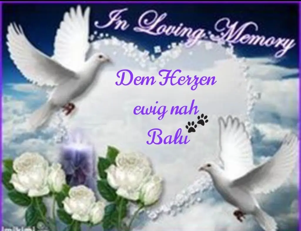 Condolence image of  Für Ina und Stefan 