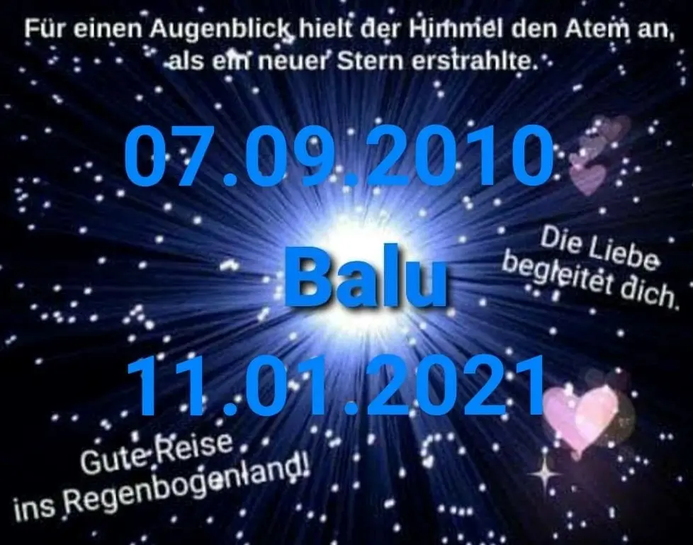 Condolence image of Unbekannt