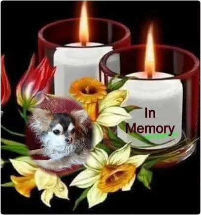 Condolence image of Jutta