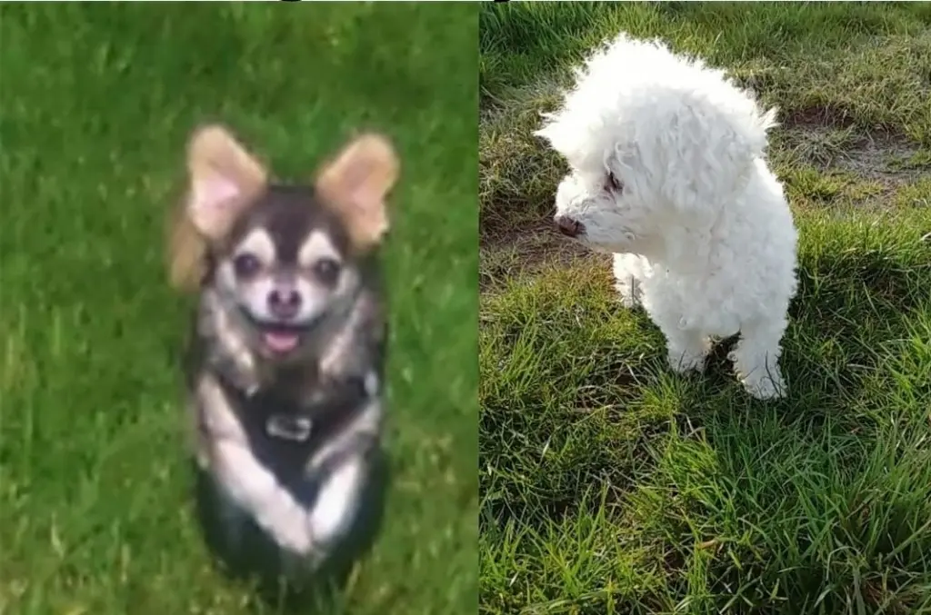 Condolence image of  From Heaven ❤️