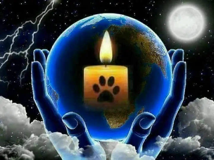 Condolence image of Martina mit Seelenhund Samy ♥️