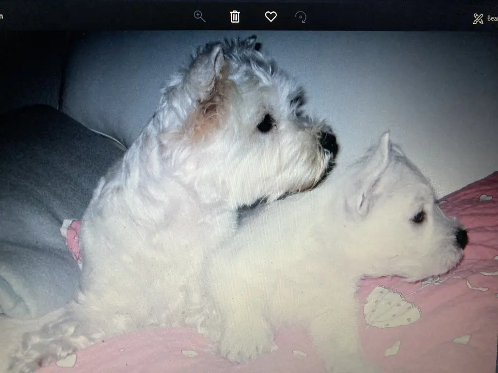 Condolence image of Unbekannt