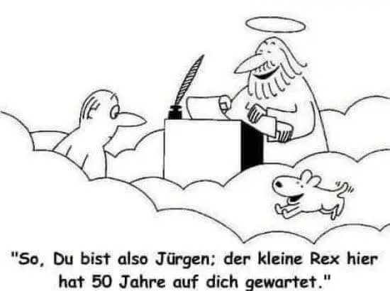 Condolence image of Für Balu 