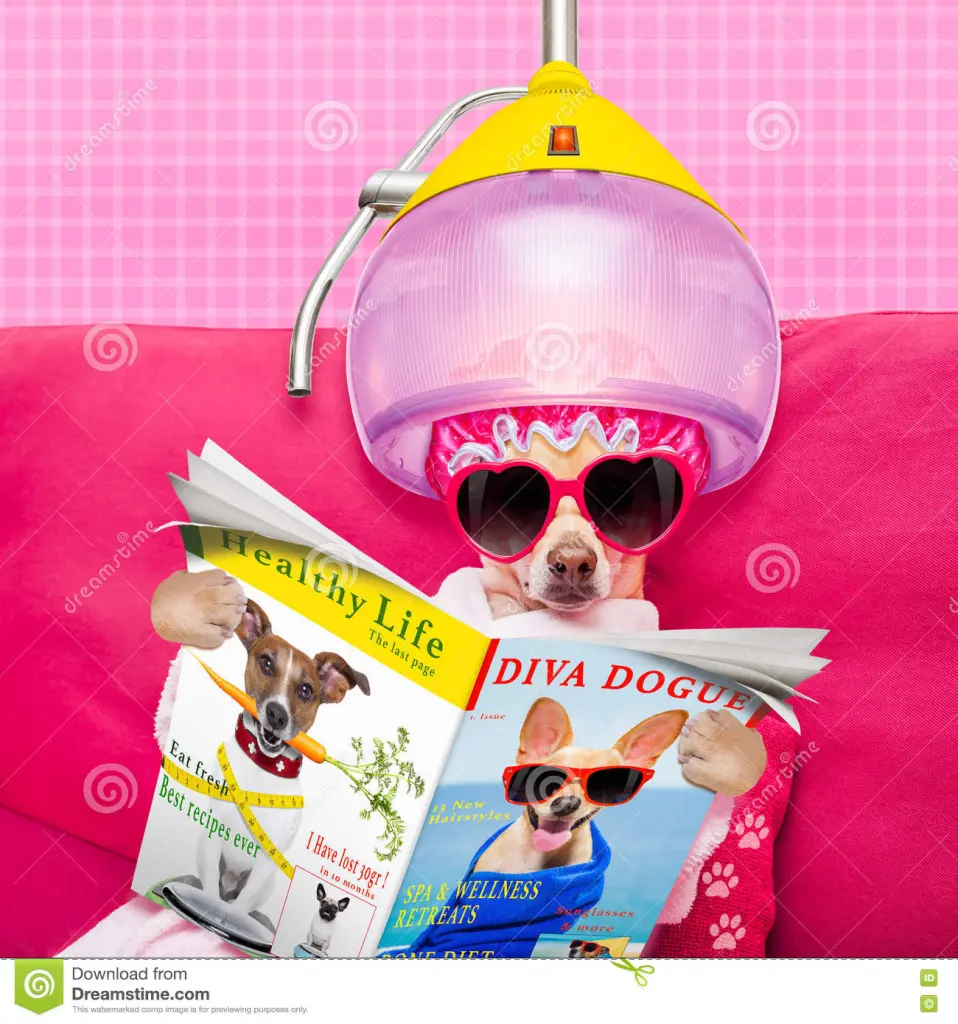 Condolence image of den Mädels ❤️