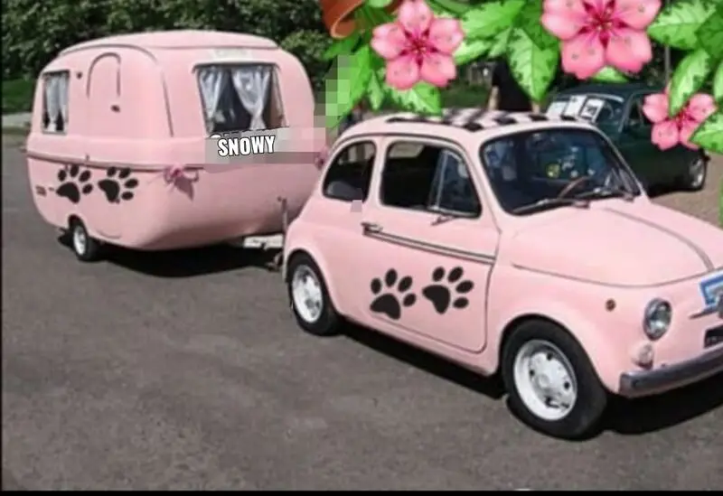 Condolence image of Von Snowy ❤️