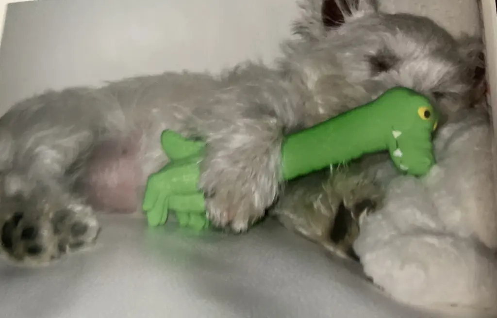 Condolence image of Unbekannt