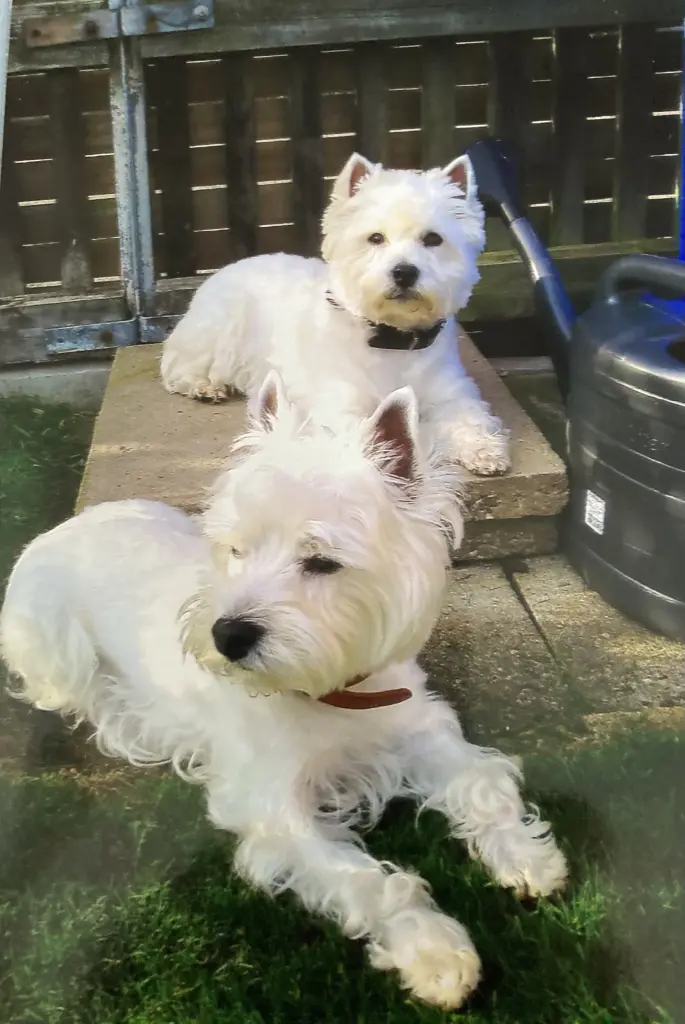 Condolence image of Unbekannt