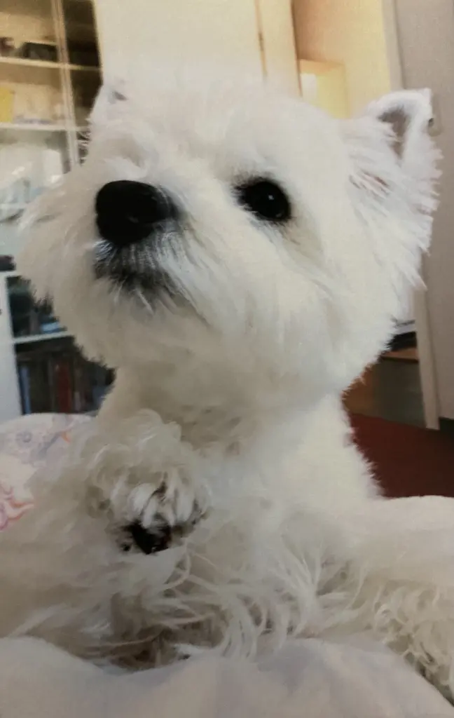 Condolence image of Unbekannt