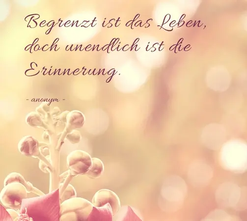 Condolence image of Gaby mit Snowy ❤️