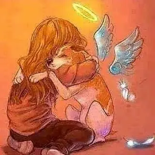 Condolence image of Martina mit Seelenhund Samy ♥️