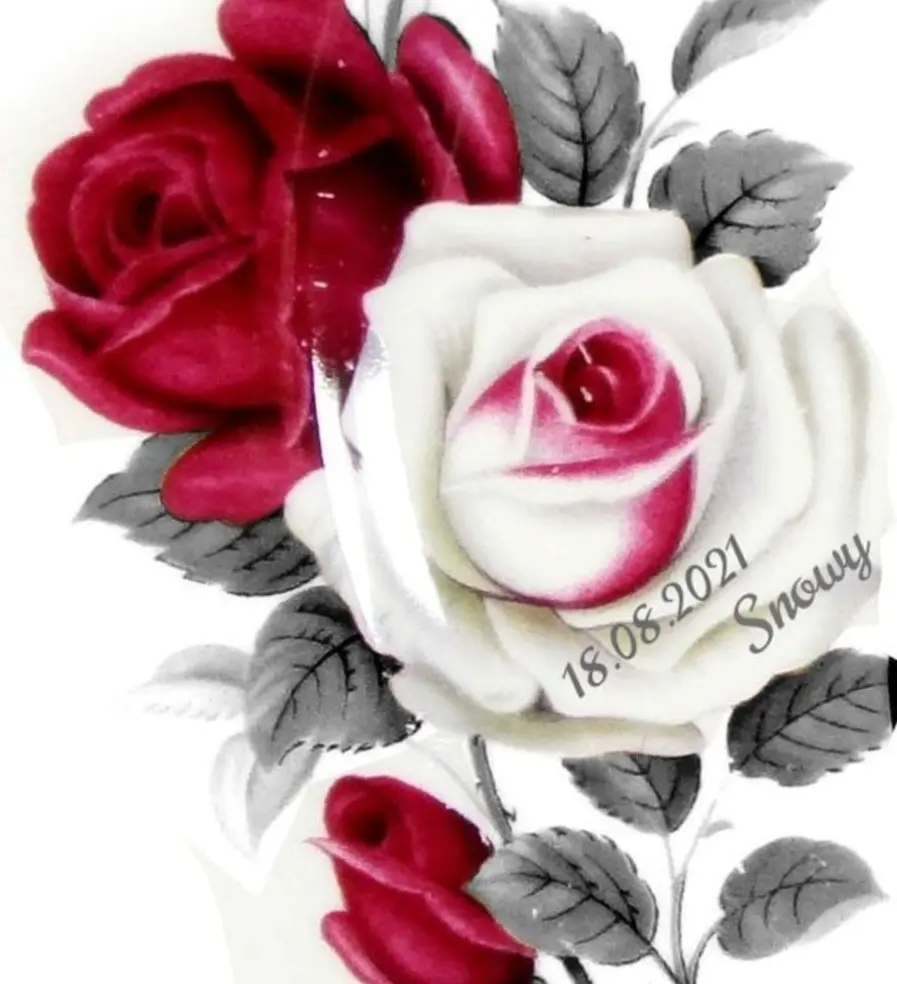 Condolence image of Gaby mit Snowy im Herzen 