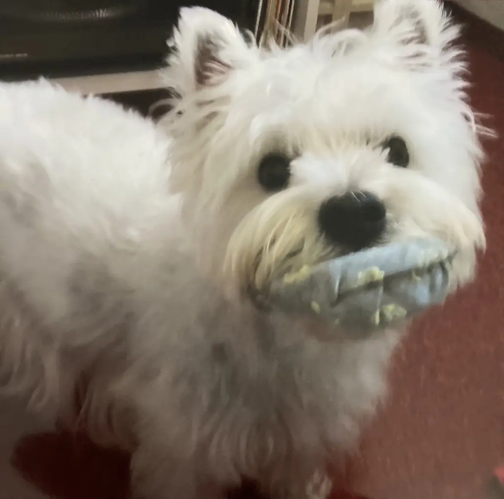 Condolence image of Unbekannt