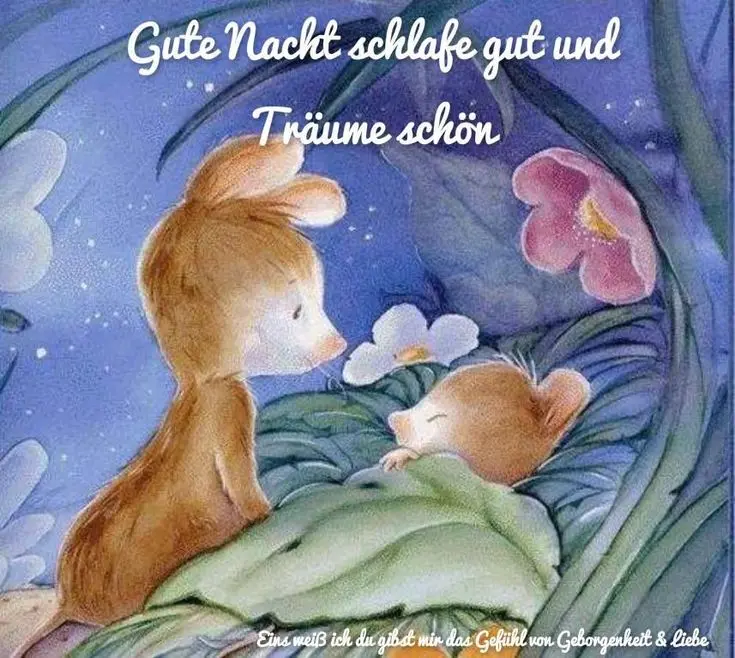 Condolence image of Für Balu 