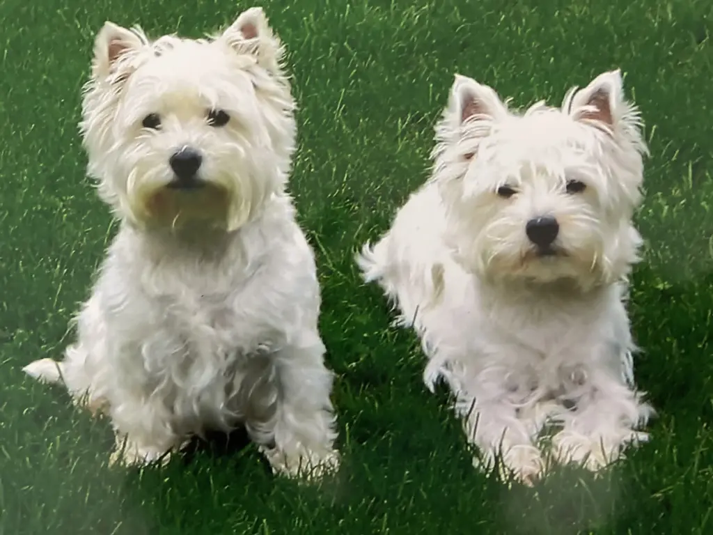 Condolence image of Unbekannt