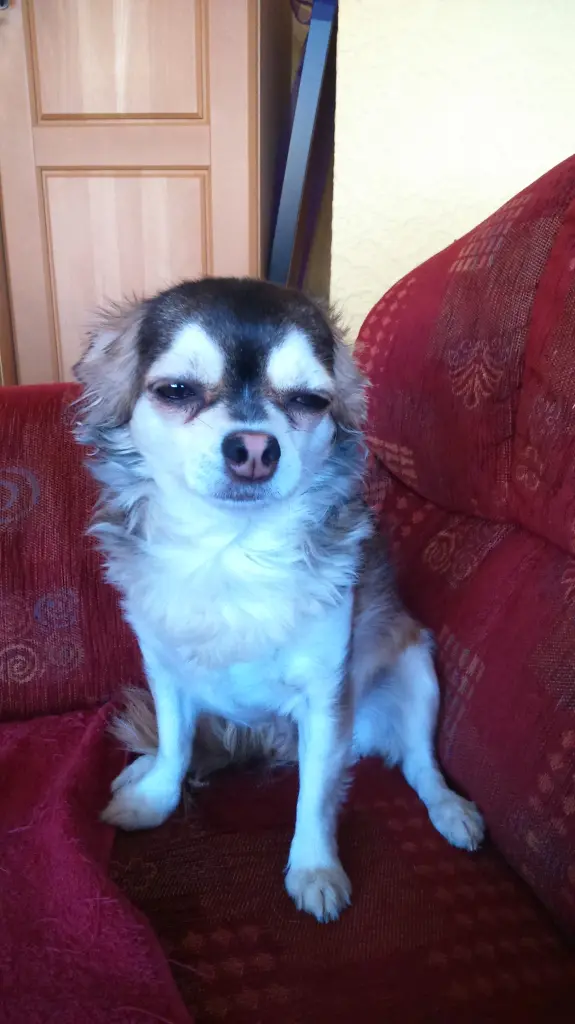 Condolence image of Unbekannt