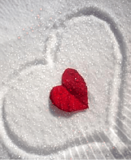 Condolence image of Von Samy ♥️⭐♥️