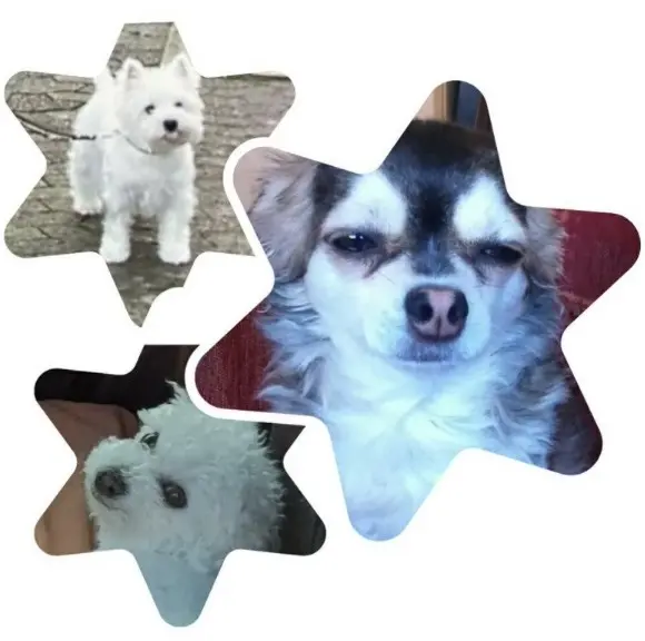 Condolence image of Lasse