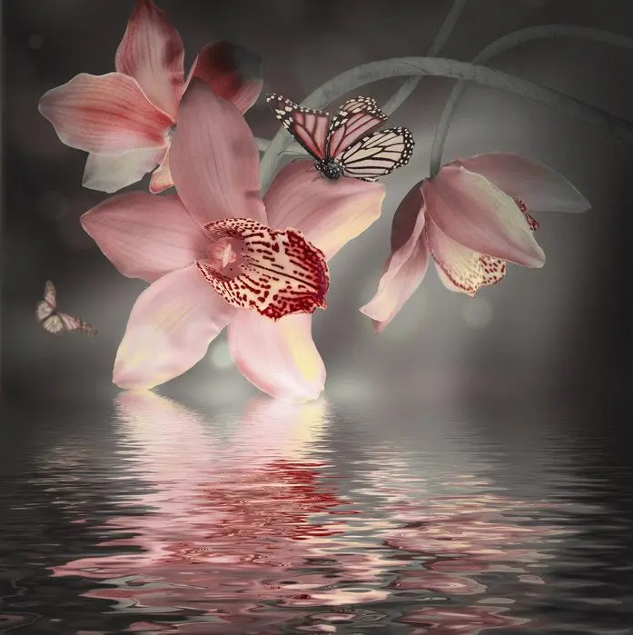 Condolence image of Gaby mit Snowy im Herzen 