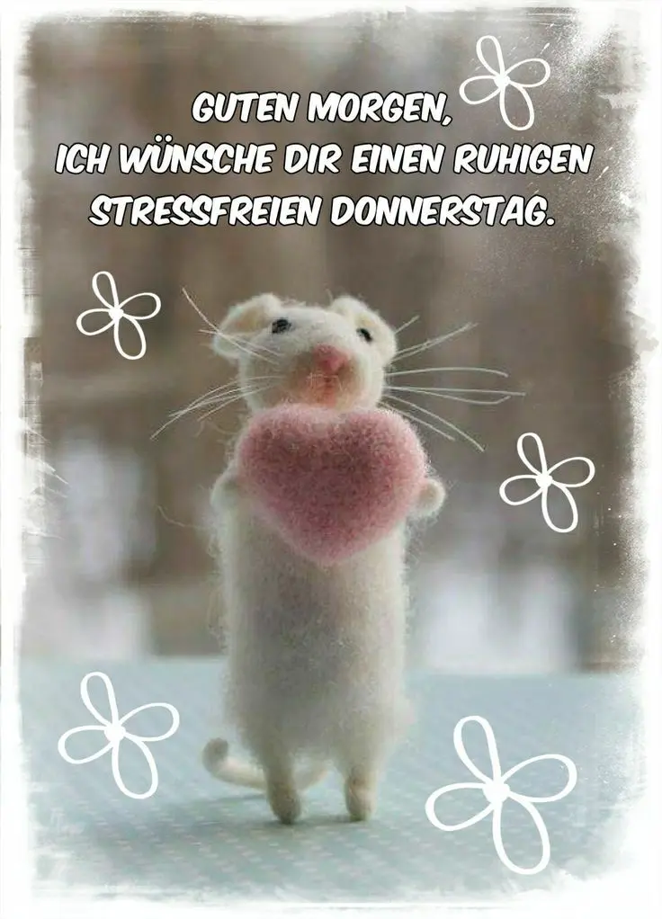 Condolence image of Martina mit Samy ♥️⭐♥️ für immer im Herzen 