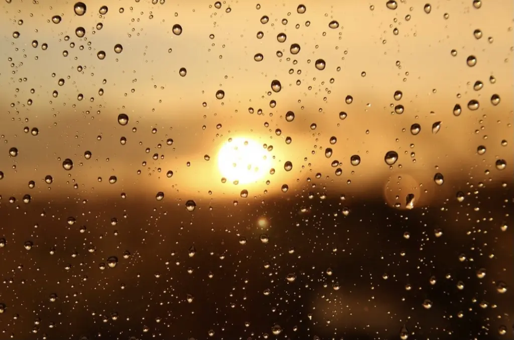 Condolence image of Unbekannt