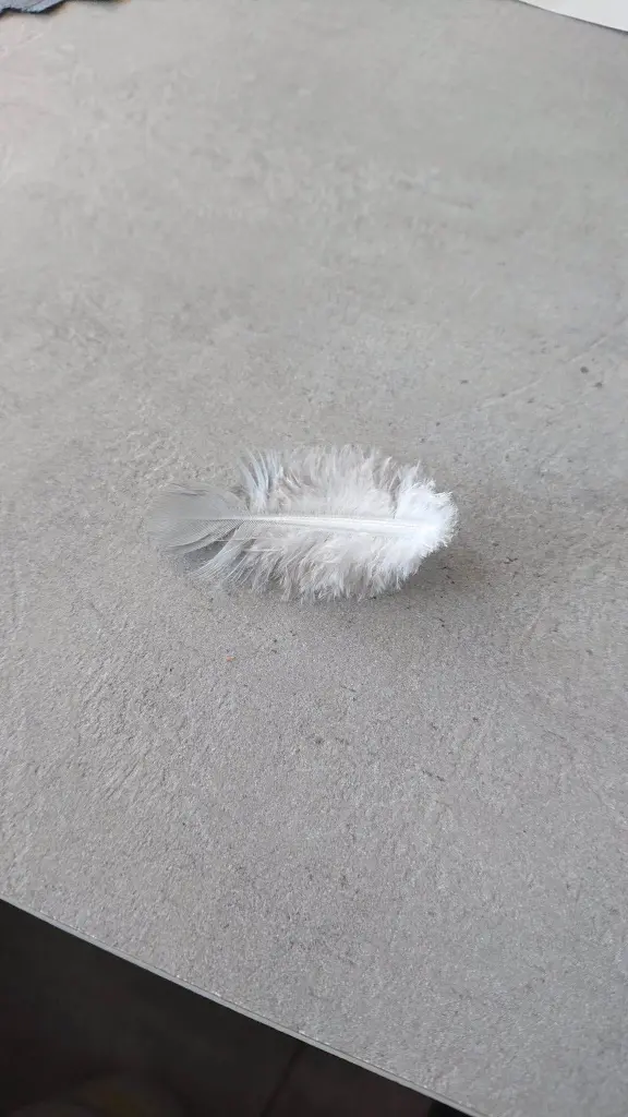 Condolence image of Ina Erberich