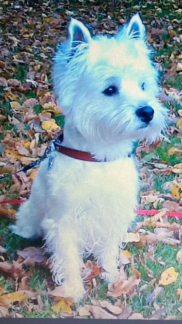 Condolence image of Unbekannt