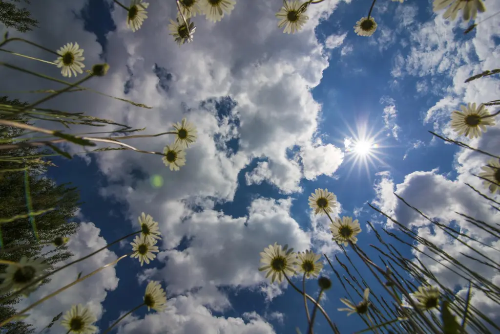 Condolence image of Gaby mit Snowy ❤️