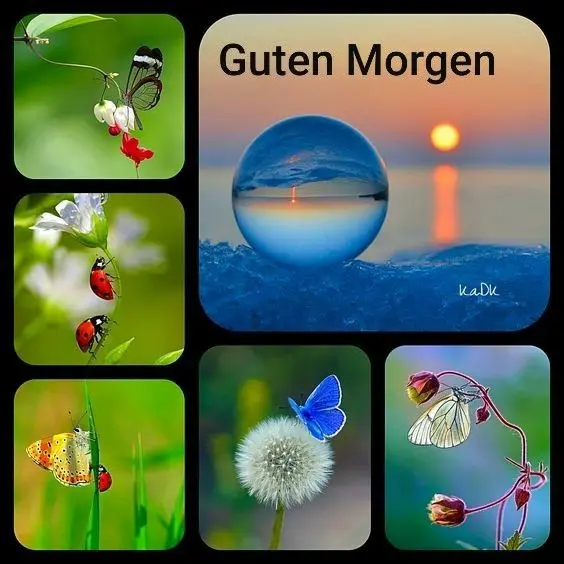 Condolence image of Martina mit Seelenhund Samy ♥️⭐♥️ für immer im Herzen 