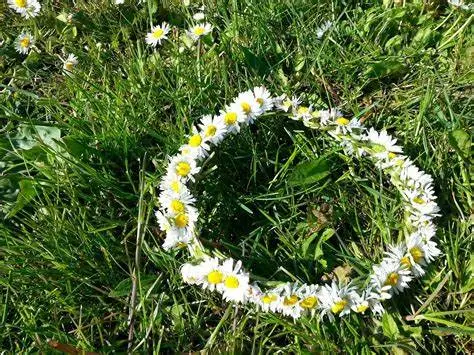 Condolence image of Von Balu