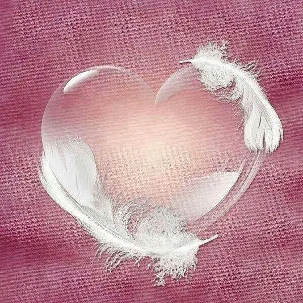 Condolence image of Martina mit Seelenhund Samy ♥️⭐♥️ für immer im Herzen 