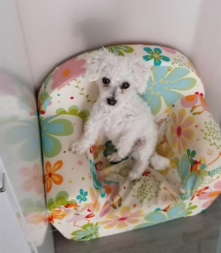 Condolence image of Unbekannt