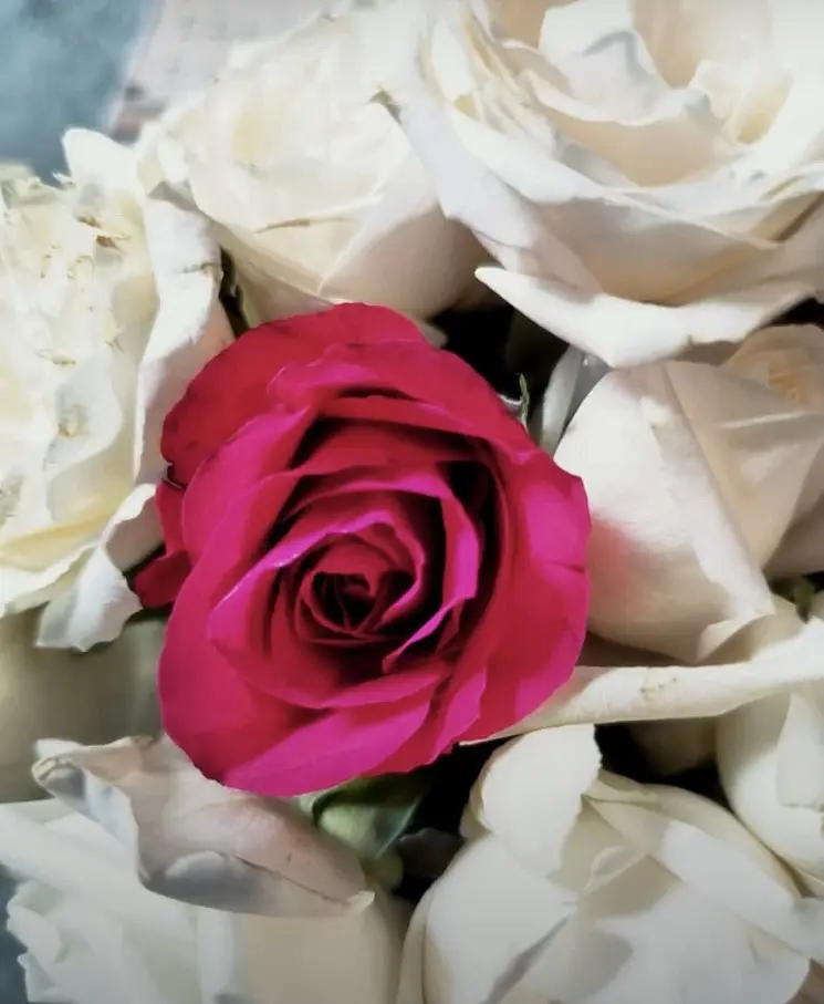 Condolence image of Unbekannt