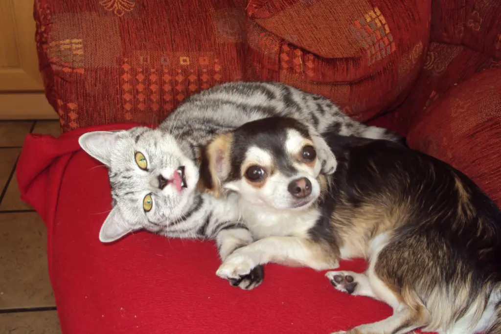 Condolence image of Unbekannt