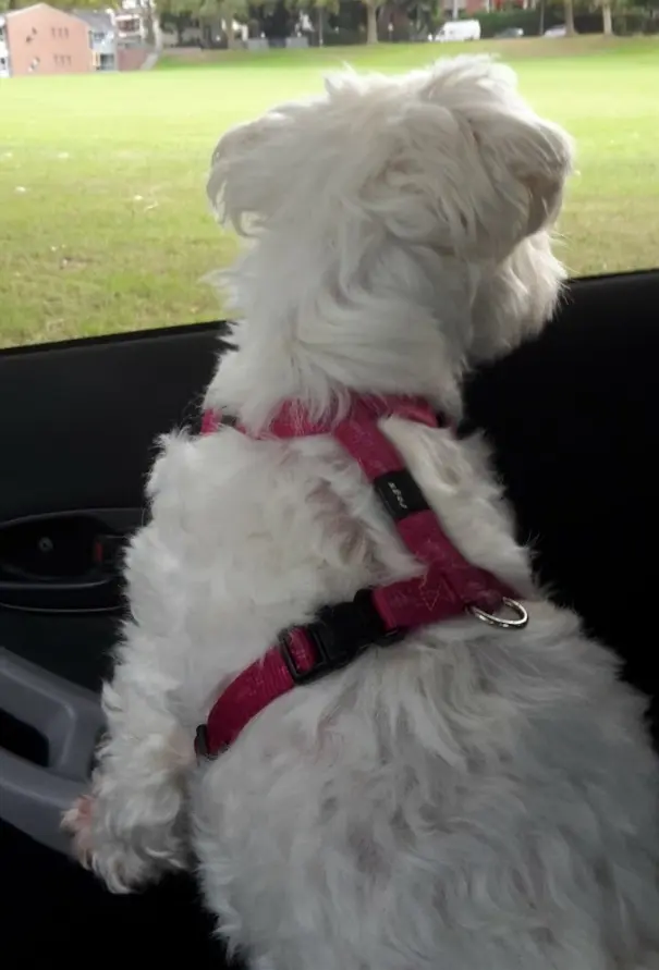 Condolence image of Von Samy ♥️⭐♥️