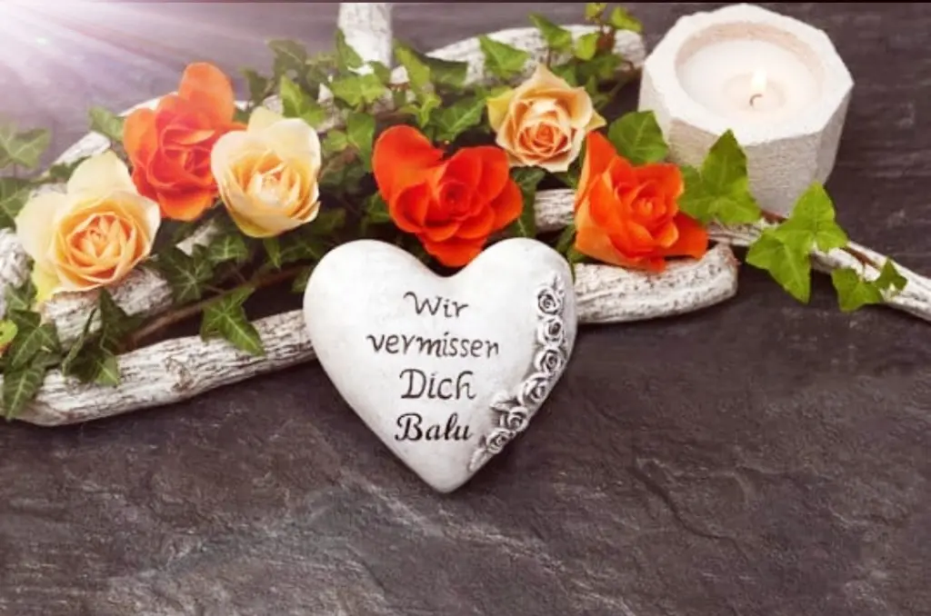 Condolence image of Gaby mit Snowy im Herzen 