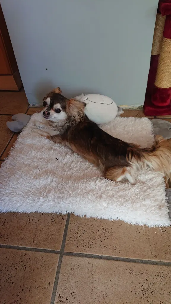 Condolence image of Unbekannt