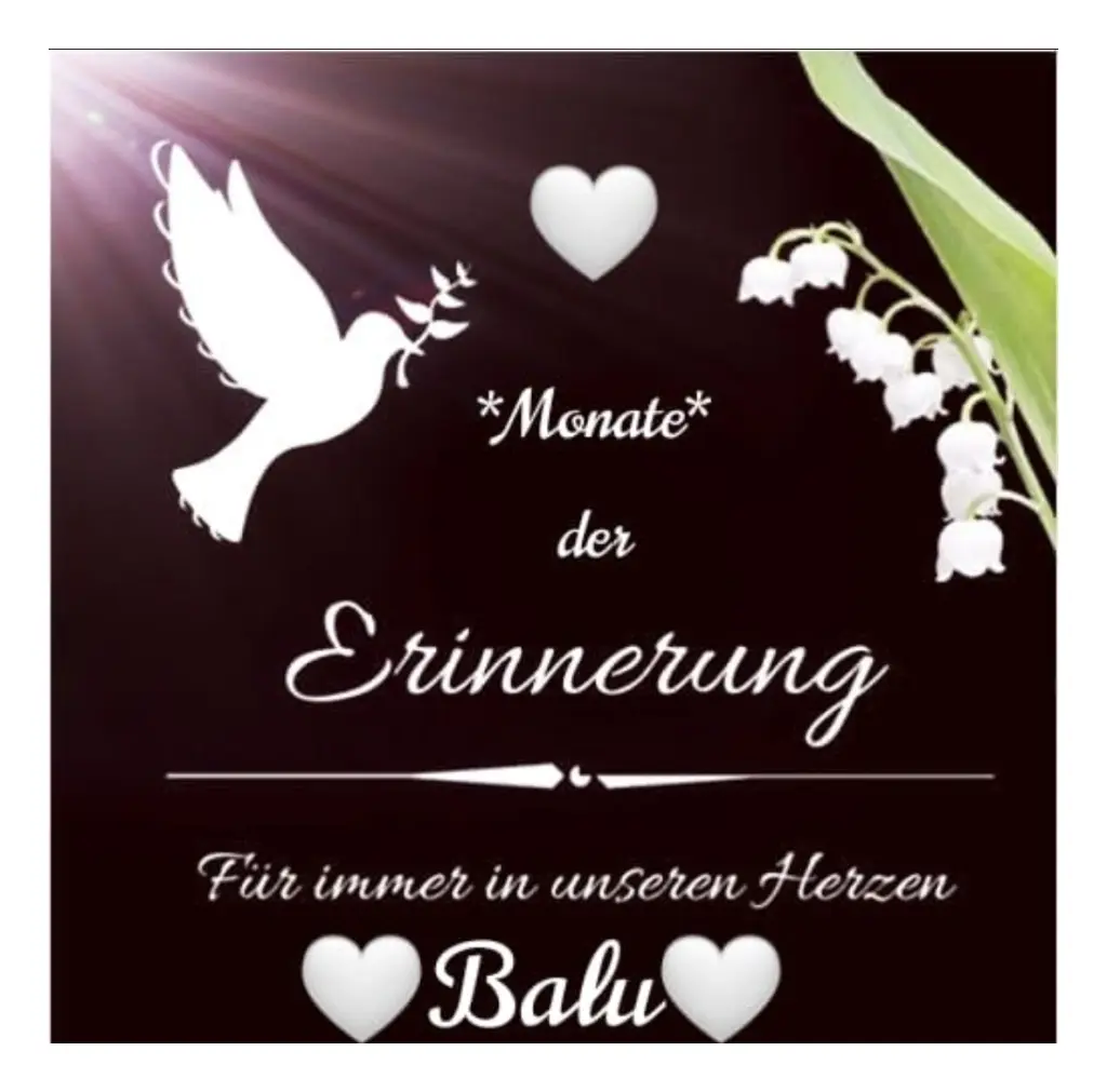 Condolence image of Unbekannt