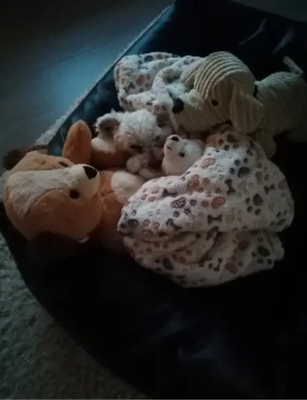 Condolence image of ❤️