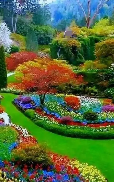 Condolence image of Unbekannt